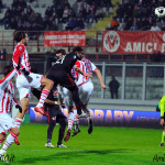 Il Varese pensa al Vicenza, arbitra Irrati. Multa al Novara