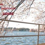 runner varese