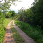 A Monvalle trionfa il Gruppo Sportivo Berti Cicli Botteon