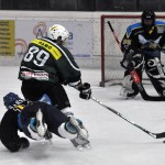 I Killer Bees cercano un pronto riscatto nel derby contro l’Ascona