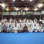Nippon kempo gymnic club giappone 2013 2