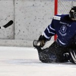 GDT Locarno-Varese Killer Bees rinviata. Moskito A sconfitti a Bellinzona