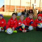 compagni calcio web