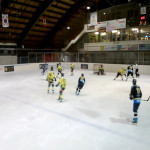 Killer Bees, Lodrino battuto 6-3. Domani il recupero contro il Locarno