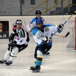 Varese Killer Bees: sabato contro il Lodrino la prima di quattro finali. In pista anche i Moskito A