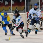 Killer Bees, sabato il derby esterno contro l’Ascona. Vischi: “C’è rivalità, vogliamo vincere”