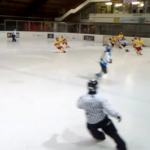 Flash, Hockey su ghiaccio – Killer Bees, rinviata la partita di stasera. Si gioca domani per la Coppa Ticino