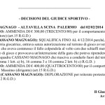 Flash – Pallamano: Ai margini di Cassano-Palermo, squalificato Rokvic fino al 4-12-2014