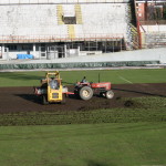campo rizollato 012