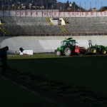 campo rizollato 015