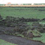 campo rizollato 016