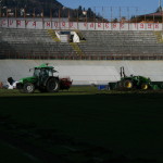 campo rizollato 018