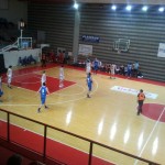 coelsanus robur – trviso
