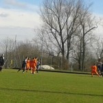 Insubria-Varesina
