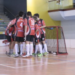wild boars varese