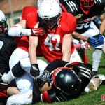 Squadre tutte in campo: Blue Storms, Gorillas e G-Team in casa, Skorpions a Legnano. De Filippo: "Wolverines? Molto fisici"