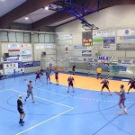 Spettacolo al PalaTacca: bene i ragazzi di Havlicek, sconfitta la femminile