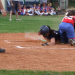 Softball – Malnate imbattuto. A Vercelli vittoria e primato