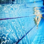 Caronno Pertusella Nuoto, una splendida realtà. Al top anche ai nazionali
