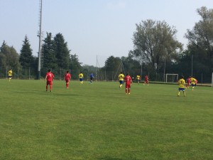 Insubria-Brebbia