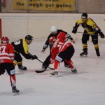 Serie B – I Mastini cadono al Palalbani contro il Pergine