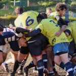 Malpensa vince il derby e sale ai piani alti. Pennestrì: “Soddisfatto ma…”