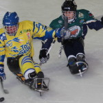 Sledge hockey: l’Armata paga dazio ai Tori
