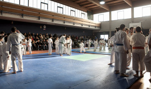 judo madonna in campagna
