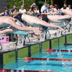Assoluti di nuoto paralimpico: titoli e medaglie per la Polha e la provincia di Varese