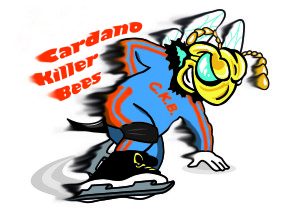logo Cardano Killer Bees Varese