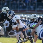 WEEK 1 IFL – I Panthers vendicano il Superbowl