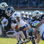 IFL – Al via il girone di ritorno: Seamen-Panthers, Atto II