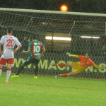 Un giovane Varese chiude con un ko sperando in un futuro. Ternana salva