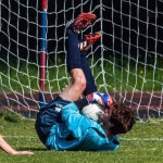 Promozione, girone A – Si parte con grandi sfide: Gavirate-Besnatese da brivido. Fumagalli: “Vogliamo giocarcela con tutte”