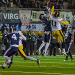 IFL, Week 8 – I Giaguari graffiano, ma i Seamen passano anche a Torino