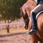 Nuovi campioni regionali a Cislago. Cova: “I giovani sono cresciuti parecchio”