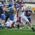 IFL, Week 11 – I Seamen risorgono, Panthers e Marines si confermano. Spareggio playout per Giaguari e Briganti