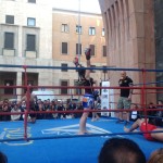 Varese fighting festival, arti marziali in piazza