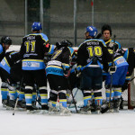 Prima di campionato di fuoco per i Killer Bees: arriva l’Ascona
