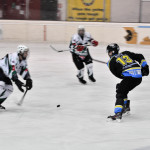 Dal Locarno all’Ambrosiana Milano, secondo test per i Killer Bees