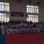 Selezionato il Team Lombardia di teakwondo. Ferrario: “Strada giusta”