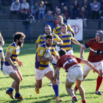 Serie B – Varese sconfitto, Parma passa al Levi