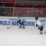 Killer Bees, ecco il Pregassona Red Fox. Occhio a Aeschliman