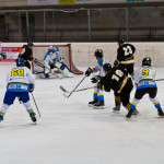 I Killer Bees abbattono il Pregassona. Suominen: “Ottima reazione”