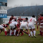 Varese sconfitto nel freddo di Piacenza