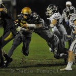 IFL – Rhinos e Dolphins da sole in vetta, primo ruggito di Lions e Grizzlies