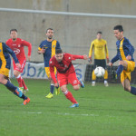 varese arconatese