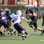 IFL – Sulla strada dei Giganti: i Rhinos provano a fermare Bolzano, a Roma c’è il derby