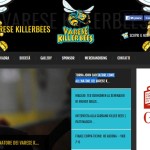 I Killer Bees si rifanno il look