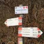 Domani tutti in bici fino al Campo dei Fiori